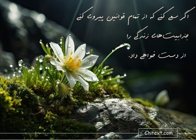 جملات انگیزشی فوق العاده تاثیر گذار